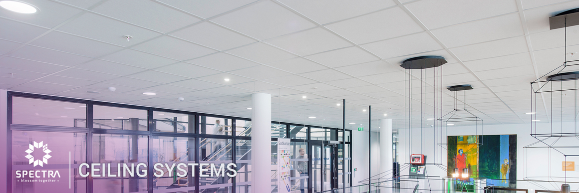 Ceiling Systems