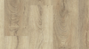 SPECTRA LAMINATE WOOD - Easy Line 832 - VICTORIA OAK VANILLE - TWF 510030008