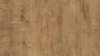 SPECTRA LAMINATE WOOD - VINTAGE 832 Nostalgic Beech - TWF 42091418