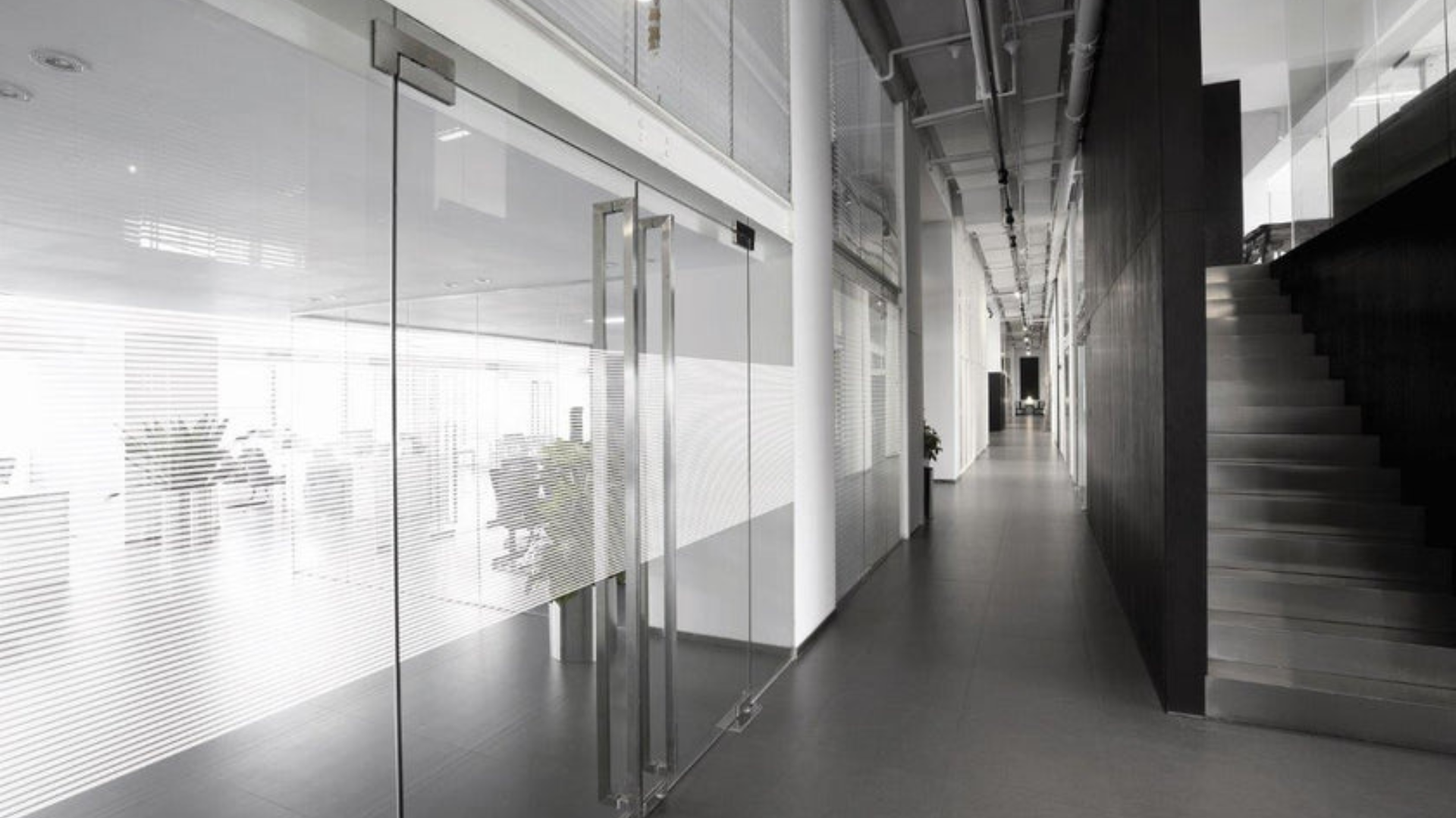 WINDOW FILM - LINEA 10
