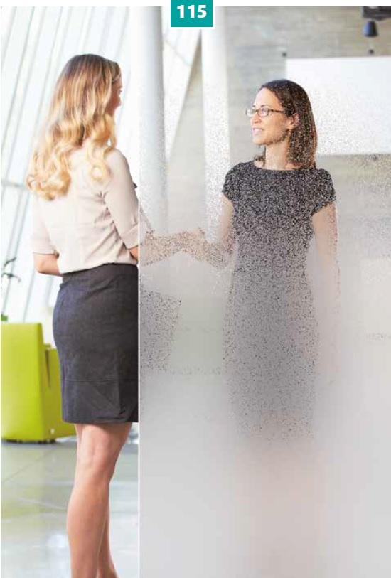 Window Film Full Frosted - Rwf-Int115 Window Film