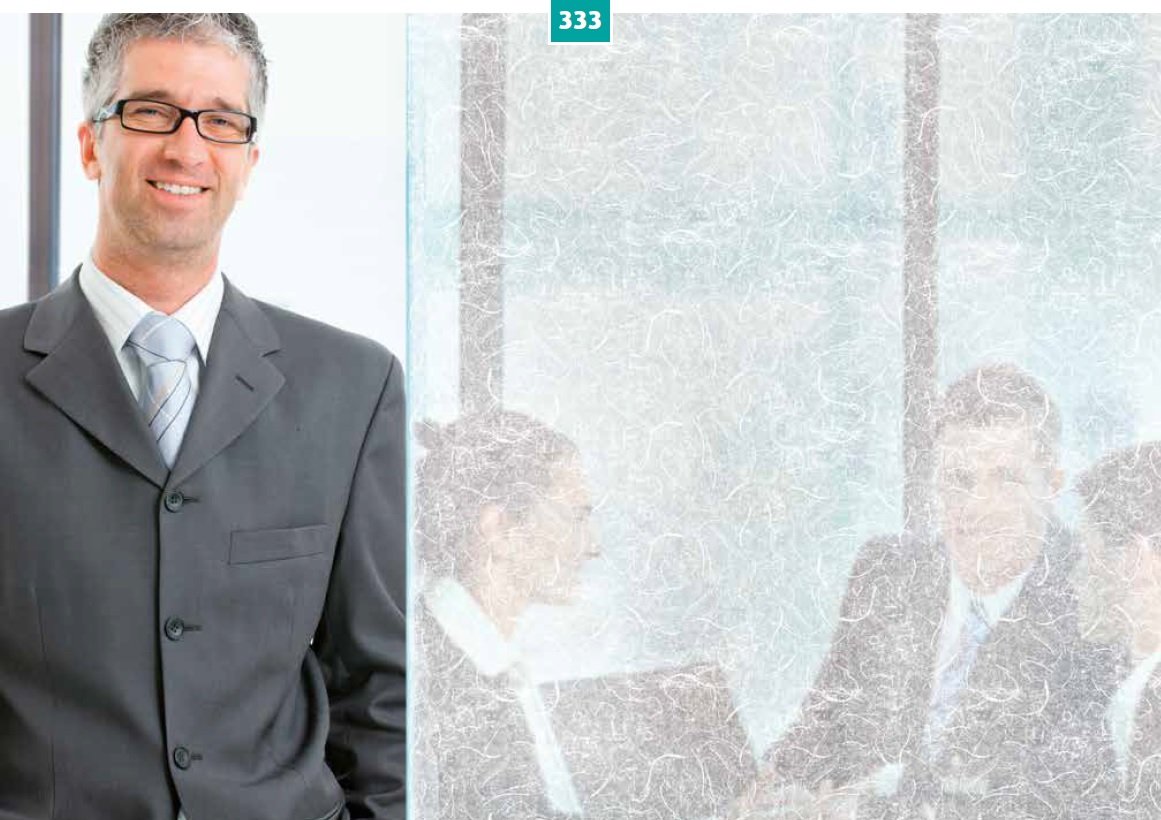 Decorative Window Film - Rwf-Int333 Window Film