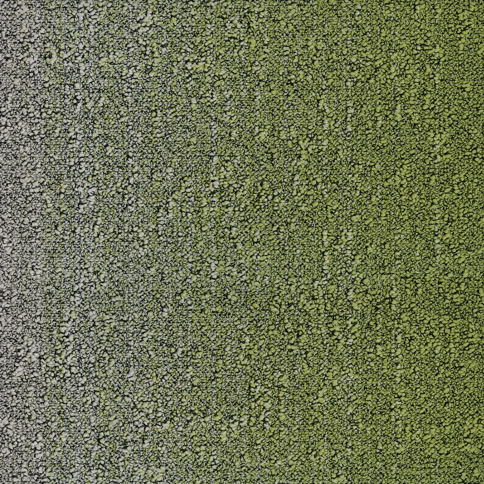 Spectra Carpet Tile Fuse Tdctb755 7073 Carpet Tiles