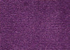 Testing Broadloom Carpets Al-Sor-Carefree 206 Broadloom Carpets