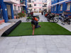 Spectra Landscaping Grass Carpet Grass Carpet