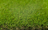 Spectra Landscaping Grass Carpet Grass Carpet