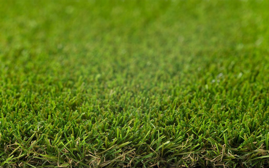 Spectra Landscaping Grass Carpet Grass Carpet