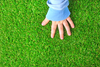 Spectra Landscaping Grass Carpet Grass Carpet