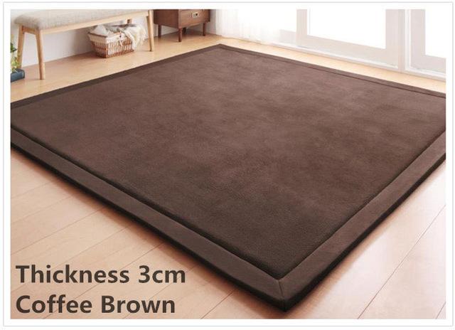 3Cm Flee Velvet Rug Coffee Brown / 100Cmx200Cm Area Rugs
